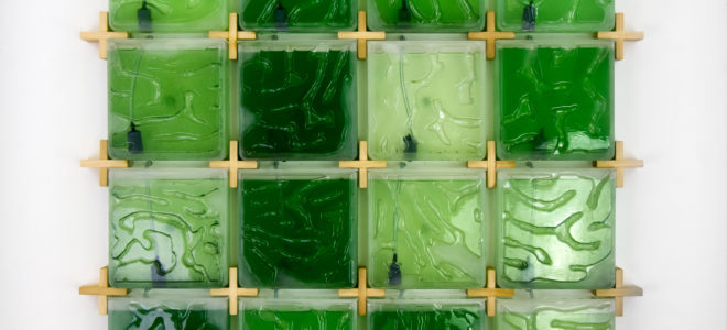 Grow your own algae in an indoor micro-algae farm