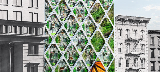 A building façade with integrated butterfly sanctuary