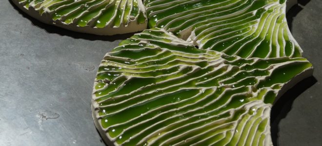 Algae and hydrogel coated tiles to clean water