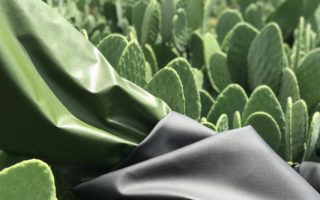 Vegan leather made from cacti