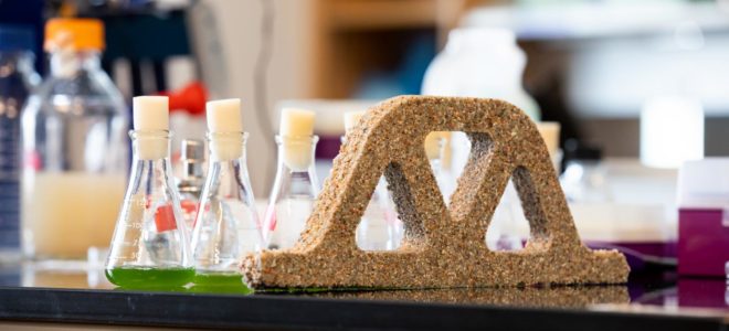 Living concrete made of bacteria and sand