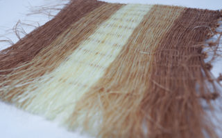 Sisal, more than a rope