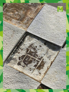 Material of the day: Mush Art Tiles 🍄✨
Developed by @mushcomposites, these decorative wall tiles are made from mycelium-based composites. The root-like network of fungi grows into lightweight yet structurally coherent forms, with organic textures and subtle variations that make each tile unique.
Produced with minimal energy and a low-carbon footprint, the tiles are designed with end-of-life in mind and can safely return to natural cycles. Available in various textures and patterns, Mush Art Tiles support biophilic design principles while offering expressive, modular wall solutions for residential and commercial interiors.
Read more at MaterialDistrict.com
👉 Discover this material and many more at MaterialDistrict Utrecht
📍 Werkspoorkathedraal, Utrecht
📅 4–6 March 2026
🎟️ Get your ticket now via link in bio
#MaterialoftheDay #Material #MushArtTiles #Mycelium #BiobasedMaterials #BiophilicDesign #SustainableInteriors #MaterialDistrict #MDUtrecht