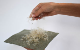 Freshwater-free textile made from salt-tolerant plants