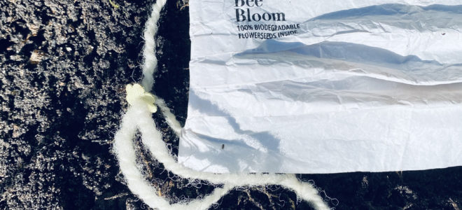 Blooming biodegradable face masks