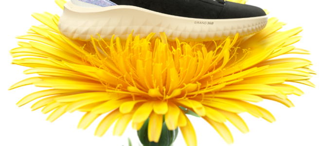 Shoes made of dandelions