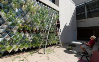 A living wall made of recycled metal