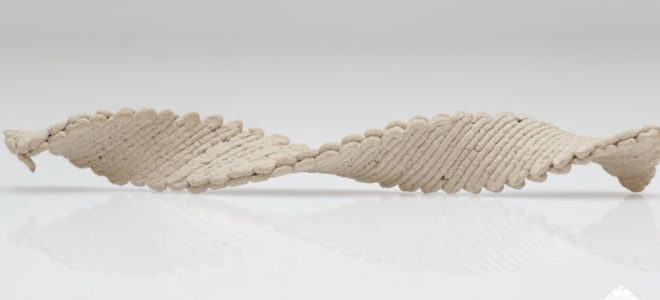 3D printed flat wooden object can morph into shape