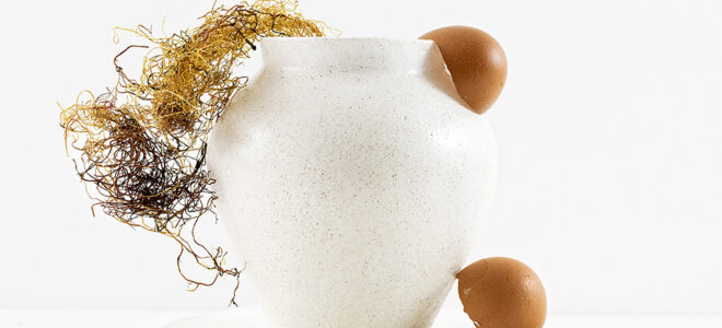 Ceramics made of egg shells and algae