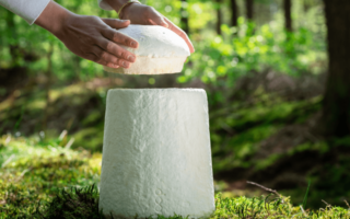 A living urn made of mycelium