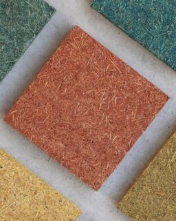 Sugarcane bagasse, one of the world’s most abundant agricultural byproducts, is transformed into high-performance, biodegradable composites for interior design. Sugarcane Bagasse Composites by @bagaceira_project https://materialdistrict.com/material/sugarcane-bagasse-composites/
#MaterialoftheDay #Materials #Sugarcane #BiobasedMaterials #InteriorDesign #ProductDesign