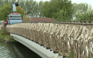 How strong is a flax bridge?
