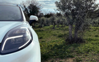 Auto parts made of olive tree waste