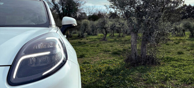 Auto parts made of olive tree waste