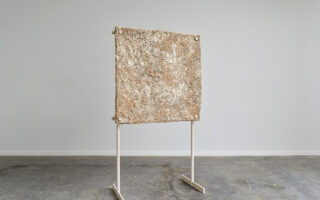 An acoustic panel made of mycelium