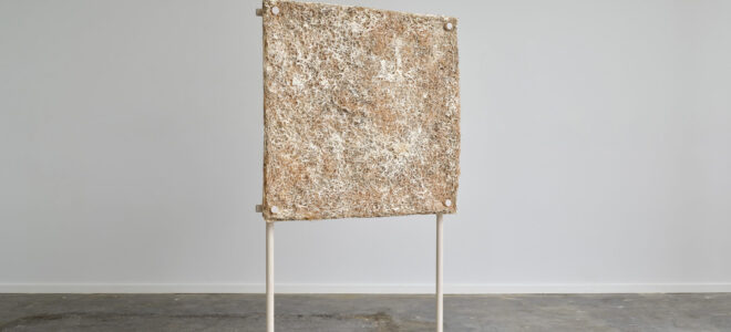 An acoustic panel made of mycelium