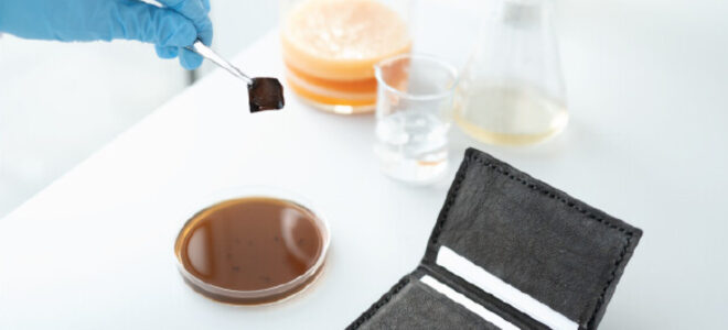 Self-dyeing bacterial black leather
