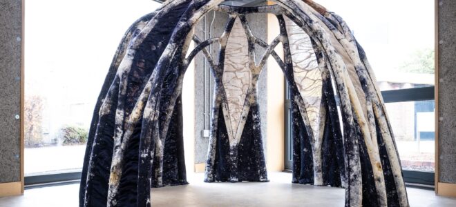 A 3D knitted, mycelium-infused structure