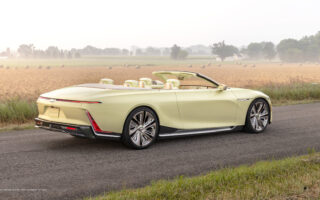 Mycelium leather used in car interior