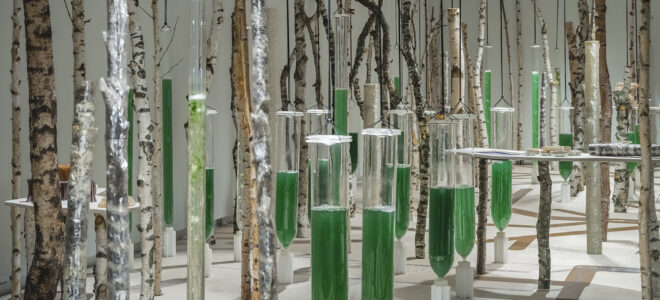 Deep Forest: A Living Exploration of Biodesign and Circularity