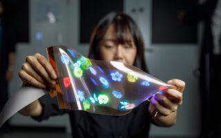 LG Unveils World’s First Stretchable Display: Transforming Material Flexibility in Design