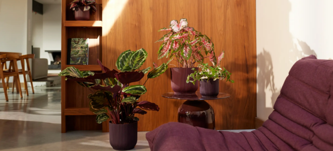 Recycled Vineyard Plastic Finds New Life in Eco-Friendly Plant Pots