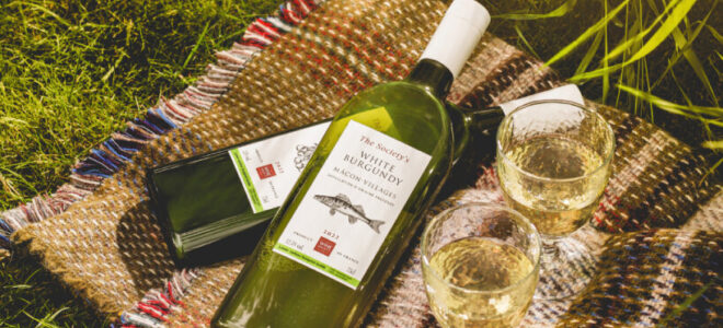 Packamama’s Eco-Flat Wine Bottle: A Sustainable Packaging Solution