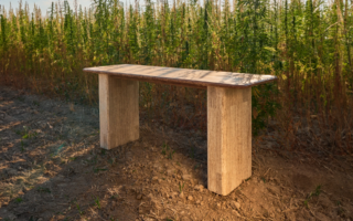 ReHemptation: Pioneering Biobased Design with Hemp