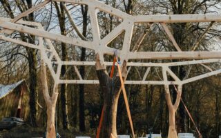 Innovative Timber Construction: The Tree and the Truss