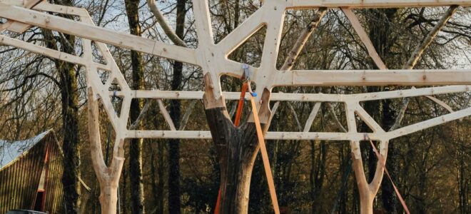 Innovative Timber Construction: The Tree and the Truss