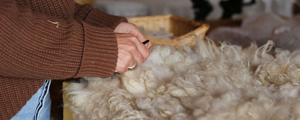 Wool Art and Sustainable Design: Babette Leertouwer’s Use of Dutch Sheep Wool