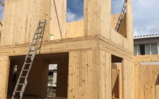 Eucalyptus grandis Cross Laminated Timber (CLT)