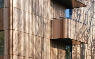 Platonised wood