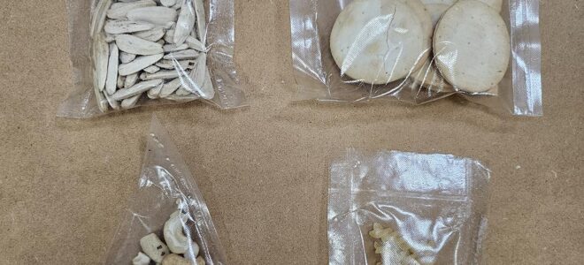 Seaweed-Based Cling Film: A Biodegradable Alternative to Single-Use Plastics
