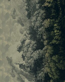 A take-back programme that aims to minimise waste by recycling and reusing used carpet. Ege Circleback by @EgeCarpets / More at MaterialDistrict.com

#Materialoftheday #Materials #Carpet #Recycling #RecycledMaterials #InteriorDesign