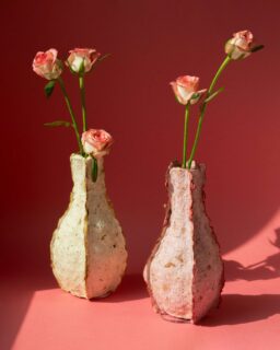 The Petal Vase, developed by @rebloom___studio together with designers @neo_design_archive, @jmin_0305 and @where_yeon, explores how organic waste can become a valuable material resource. By repurposing discarded flowers from markets, the project extends the lifecycle of a typically short-lived product and introduces a circular design approach.

Read more at MaterialDistrict.com

#MaterialInspiration #Materials #SustainableDesign #CircularDesign #BiobasedMaterials #MaterialInnovation #WasteToResource #EcoDesign #ProductDesign #Biodegradable #DesignForCircularity #MaterialResearch