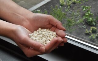 Caleyda: A Natural, Biodegradable Alternative to Plastic