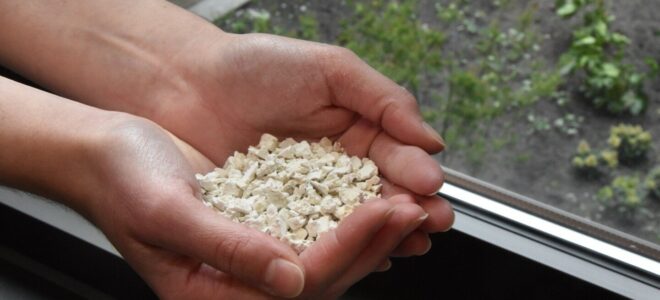 Caleyda: A Natural, Biodegradable Alternative to Plastic