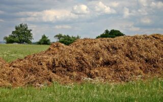 Converting Cow Manure into Manufacturing-Grade Cellulose: A New Circular Material Approach