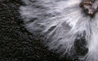 Mycelium-Based Building Material Offers Self-Healing Capabilities