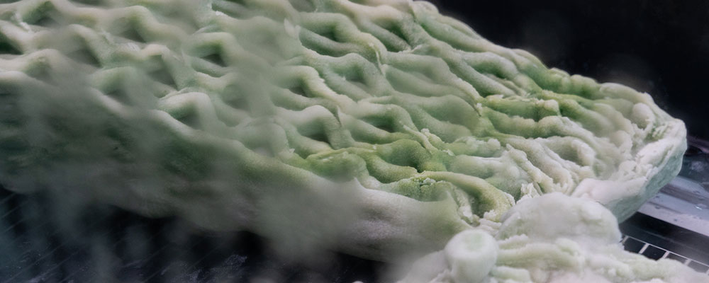 Architectural Innovation at the Venice Biennale: Biofabricated Living Structures That Breathe