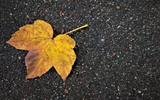 Utrecht Introduces 100% Recycled Asphalt on Archimedeslaan