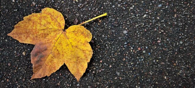 Utrecht Introduces 100% Recycled Asphalt on Archimedeslaan