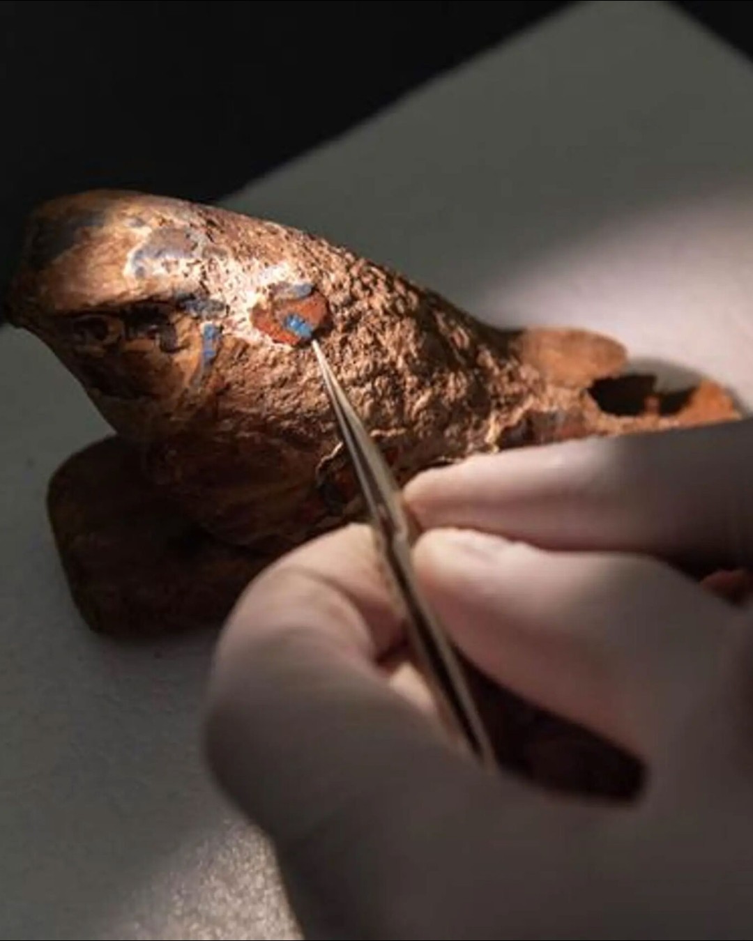 Researchers at Washington State University (WSU), together with the Carnegie Museum of Natural History and the Smithsonian’s Museum Conservation Institute, have brought Egyptian blue pigment back to life. This pigment, first created more than 5,000 years ago, is known as the world’s oldest synthetic colour. Although it once decorated ancient artefacts, it may now offer exciting options for today’s designers working in product design, packaging, and interior materials.
Read more at MaterialDistrict.com
#MaterialInspiration #Materials #EgyptianBlue #MaterialInnovation #SustainableDesign #CircularMaterials #ProductDesign #PackagingDesign #MaterialResearch #DesignInspiration #AncientMeetsModern #PigmentInnovation
