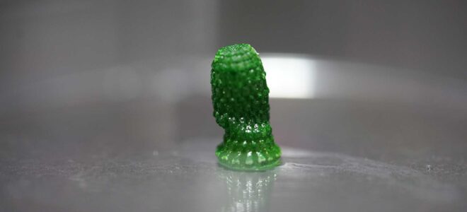 Living Building Material Converts CO₂ into Stone and Biomass