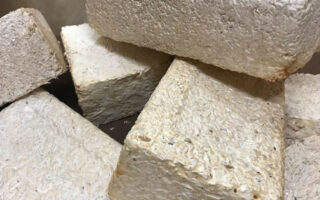 NASA Grows the Future: Mycelium-Based Habitats for Earth and Beyond