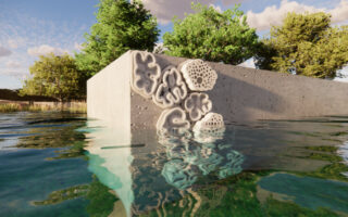 3D Printed Seawall Tiles Enhance Marine Biodiversity and Reduce Erosion