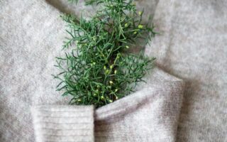 Sustainable Cellulose from Agricultural Waste: Oat Husks and Wheat Straw as Viable Alternatives