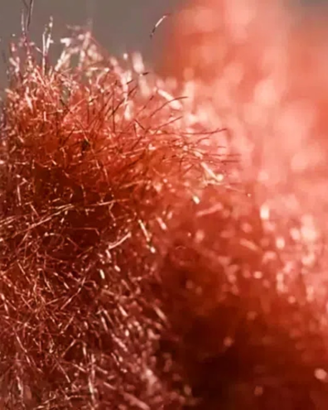 German researchers at the Max Planck Institute have developed a groundbreaking battery material that improves performance and sustainability. Now brought to market by start-up @batene_batteryenergy, this new metallic fleece replaces traditional flat metal foils in lithium-ion batteries. The innovation enhances energy storage, shortens charging time, and reduces resource use—key advantages for designers in the electric mobility and consumer electronics sectors.
Read more at https://materialdistrict.com/article/metallic-fleece-enhances-ev-battery-performance-and-sustainability/
#MaterialInspiration
#Materials
#MaterialInnovation
#BatteryTechnology
#SustainableDesign
#ElectricVehicles
#EnergyStorage
#CircularMaterials
#EVDesign
#CleanTech
#ProductDesign
#FutureMaterials