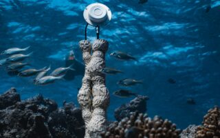 Coral Sonic Resilience: Sound and Sustainable Materials Revive Coral Reefs